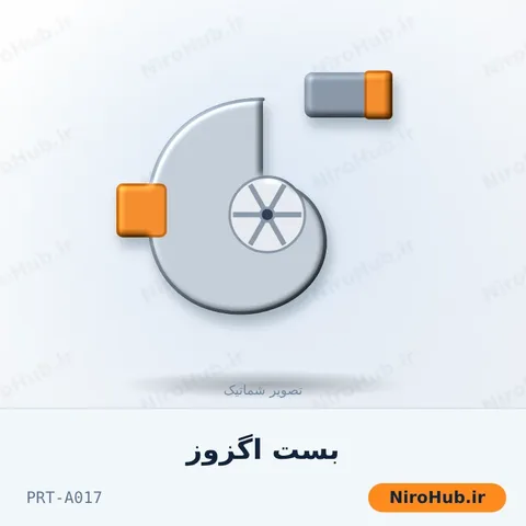بست اگزوز