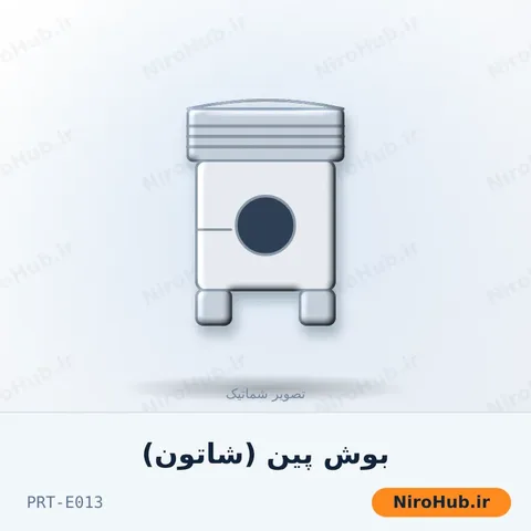 بوش پین (شاتون)
